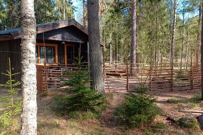 PEUKKU pääkuva 800 533